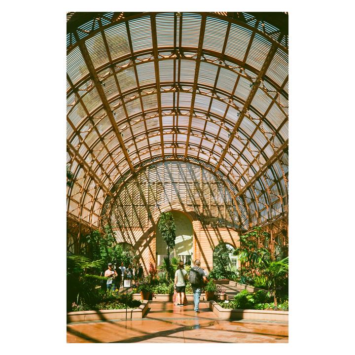 Balboa Park | Fuji GW690iii | Ektar 100