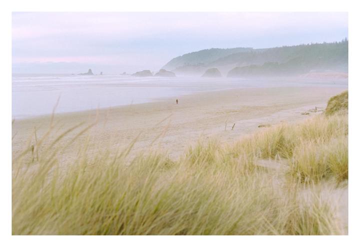 Solitude | Pentax MX | SMC 50mm f1.7 | Kodak Gold 200