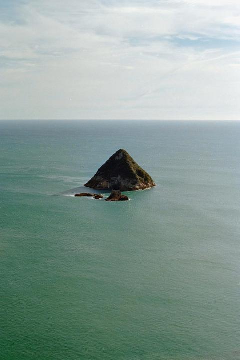 Pointy [Nikon F80 / 50mm / Ultramax 400]