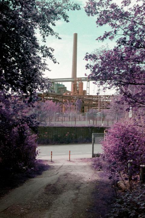the industrial Zollverein Mine shot in Lomo Purple  |  Revue 400 SE  |  Lomography purple 400