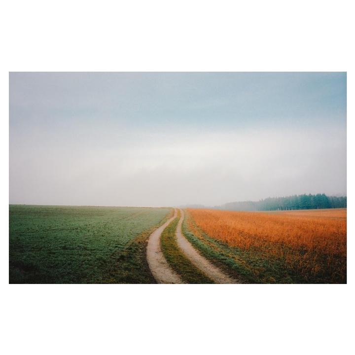 Paths | Leica M6+MP | Portra 400