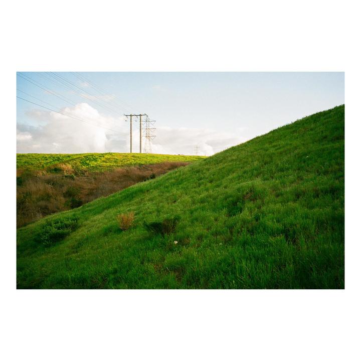 Flowers, Hills, and Fields | Leica MP, 35/1.2 Nokton IV, Fuji 400