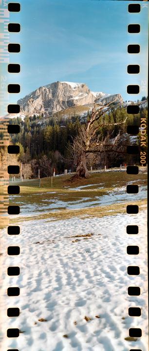 Axalp 35x90 [Fuji GW690II, 90mm, Kodak Colorplus 200]