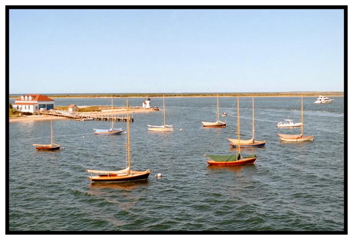 sailboats | minolta x700, kodak gold 200