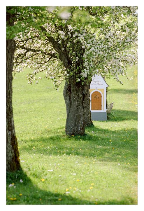 Early Spring Scene Somewhere in the Mountains [Nikon F100, Portra]