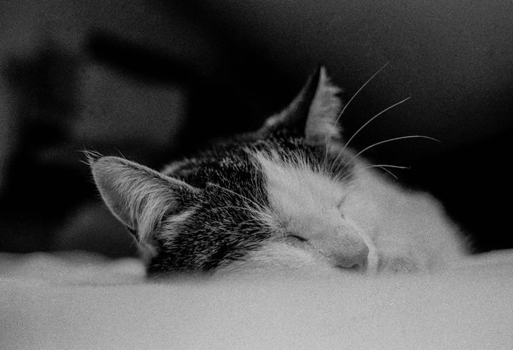 Agfa APX 400