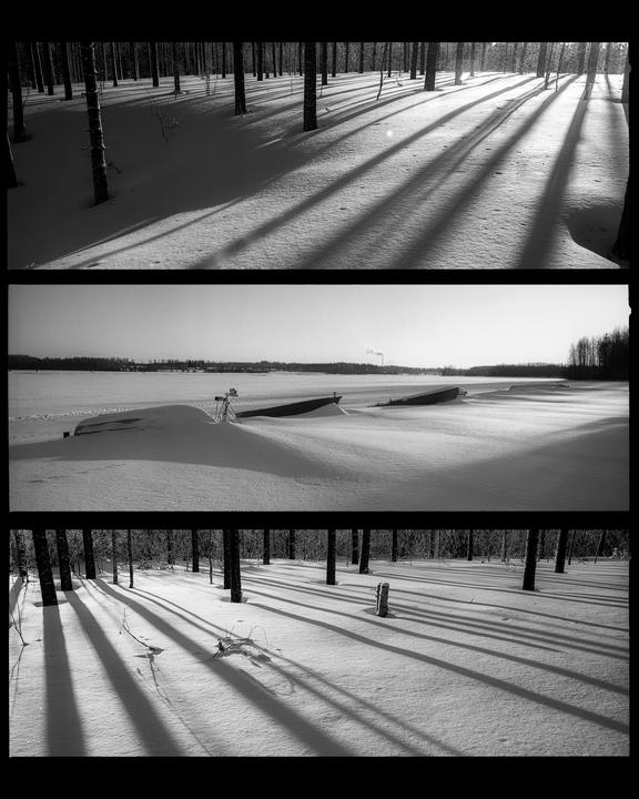 chasing contrast [xpan | hp5 | epson V600 ]