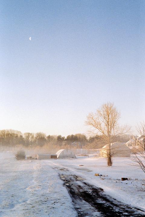 A crescent moon hangs in a clear sky over a snowy landscape with a dirt road leading to several structures and a line of trees.