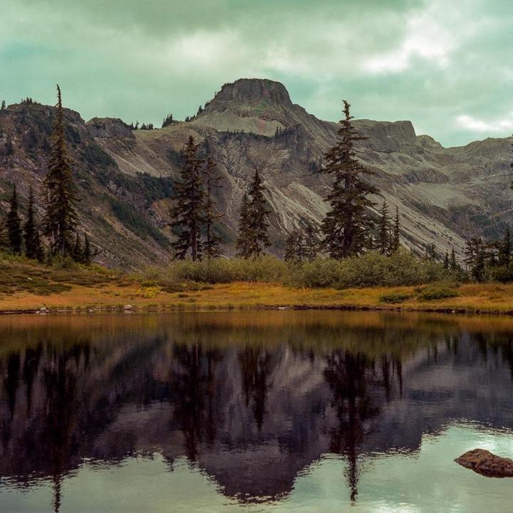 One of my favorites from over the summer. Gold 200 in medium format.
