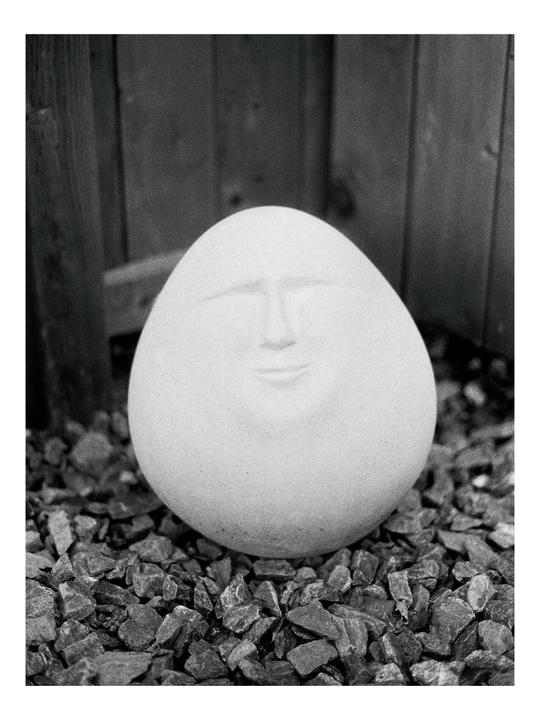 Can you spot which two are Analog and which two are digital? [Minolta xG7, Rokkor 50mm, Milford HP5]