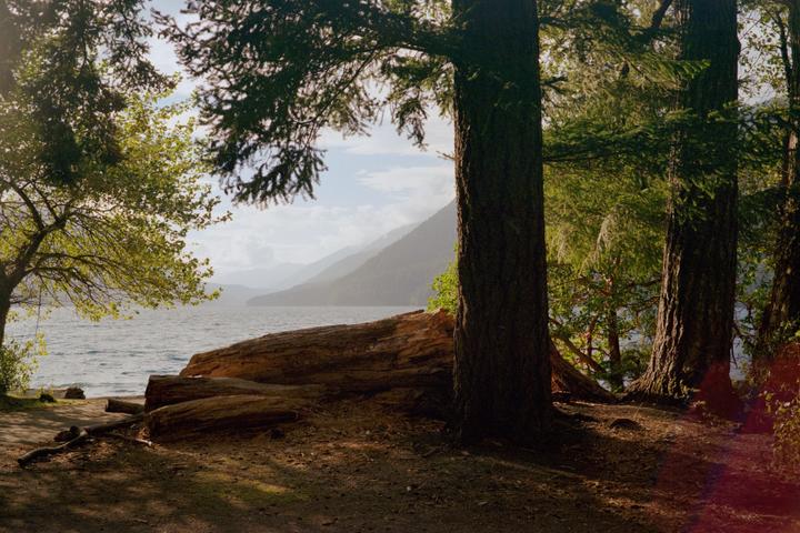 Lake Crescent (Fujica GW690, Gold 200)