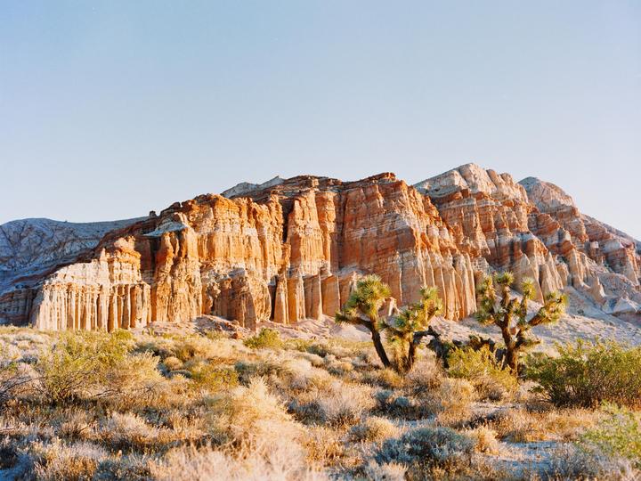 Red Rock Canyon | Bronica ETRSI 75mm f2.8 | Fuji Pro 400h