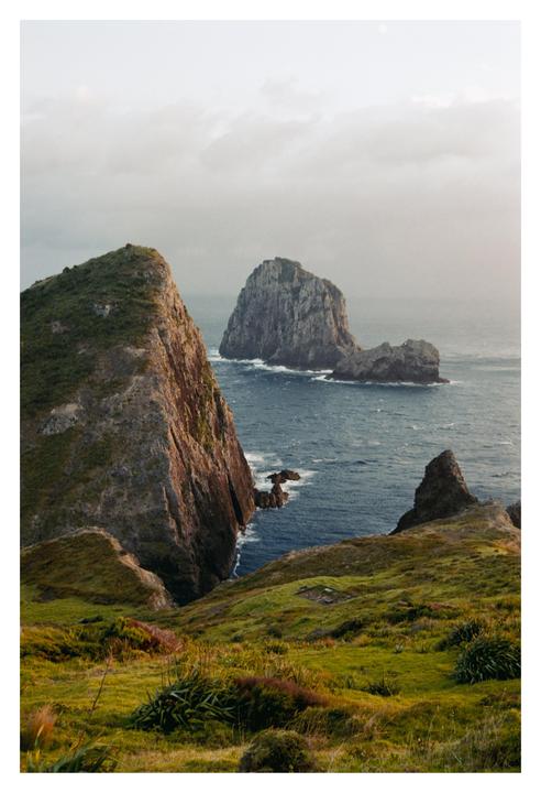 Cape Brett [Nikon F80 / 50mm / Fujicolor C200]