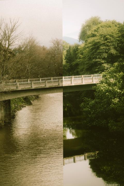 Seasons change, canon tx,portra 400,50mm