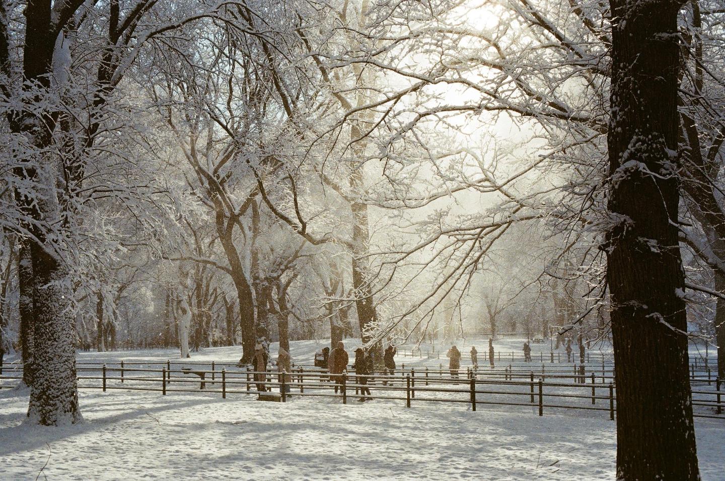 image 36636 by sssjjjmmm