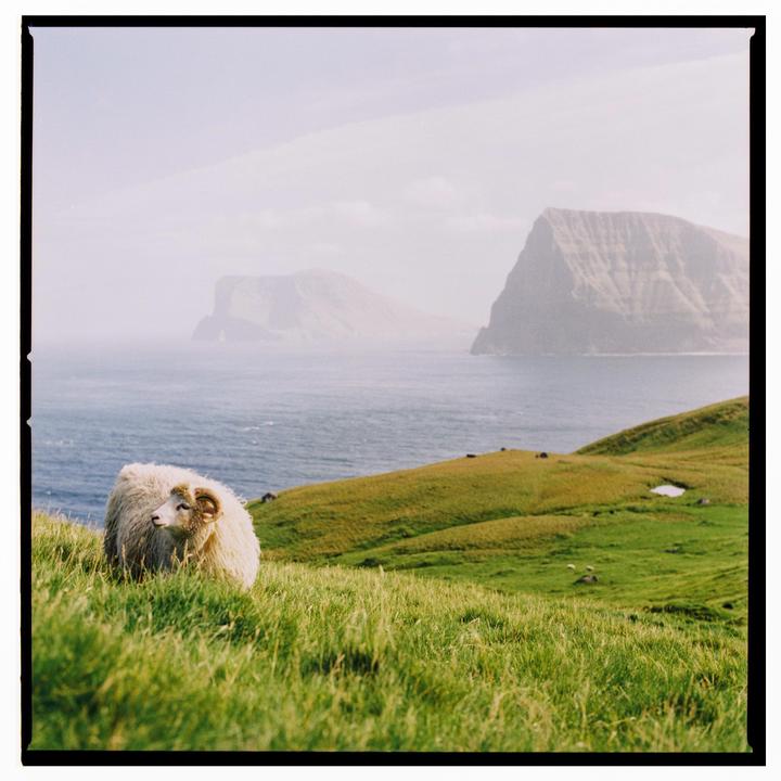 Trip to the Faroes ( Hasselblad 503cx, Kodak Gold 200)