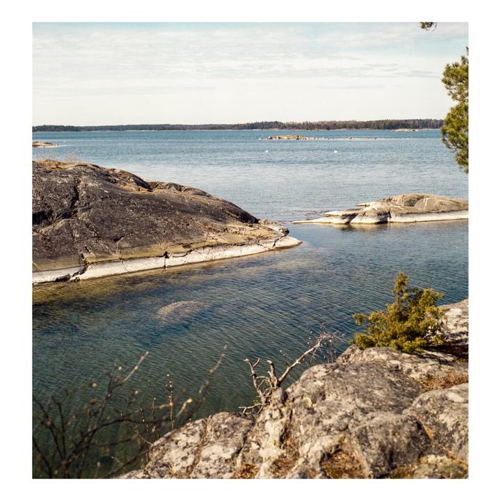 The archipelago (Rolleiflex 2.8f, Gold 200)