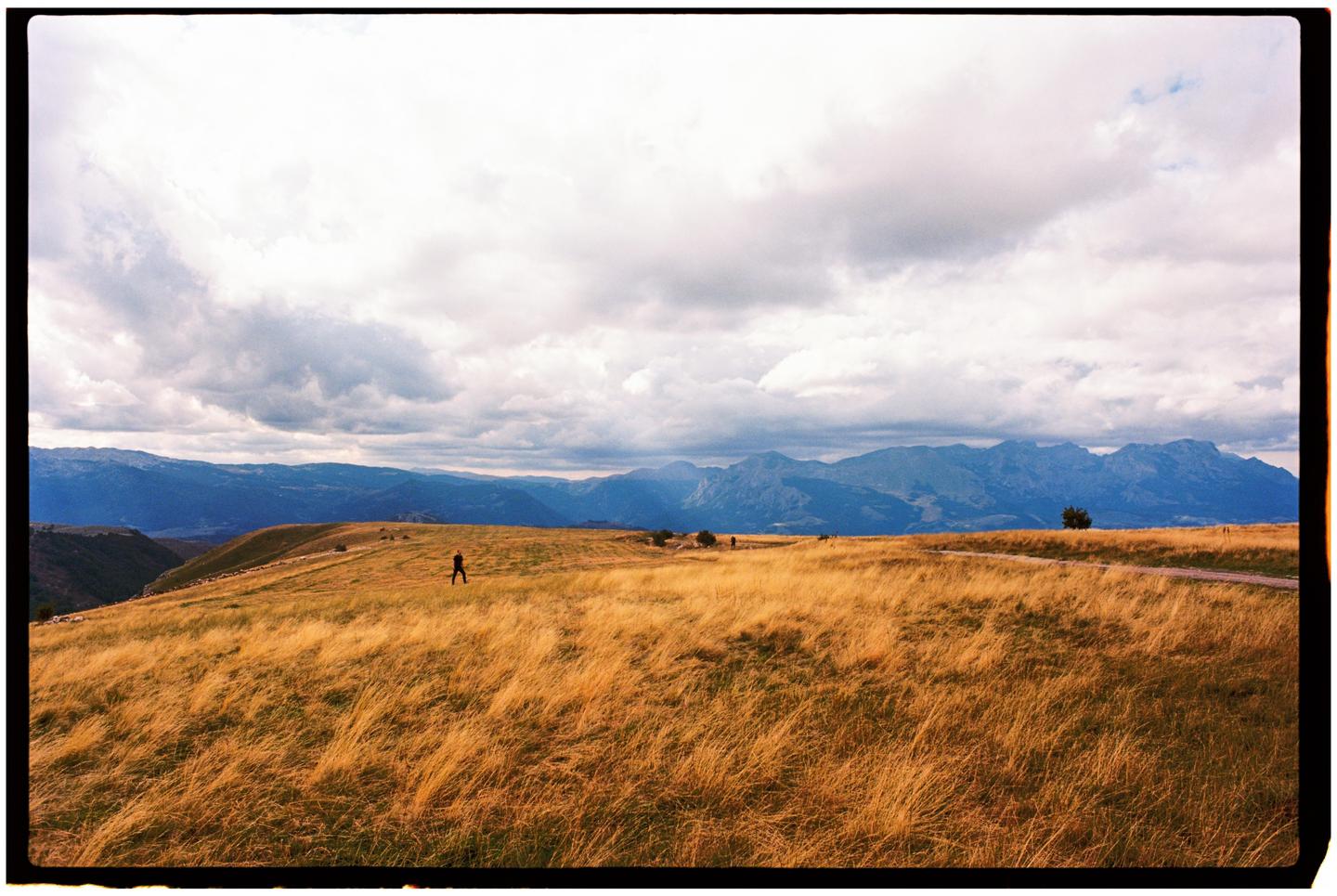 image 35751 by Kinolenka