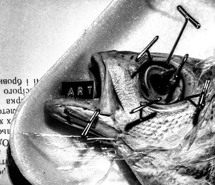 A fish head with pins stuck into its eye and a small sign with the word "ART" in its mouth is shown in black and white.