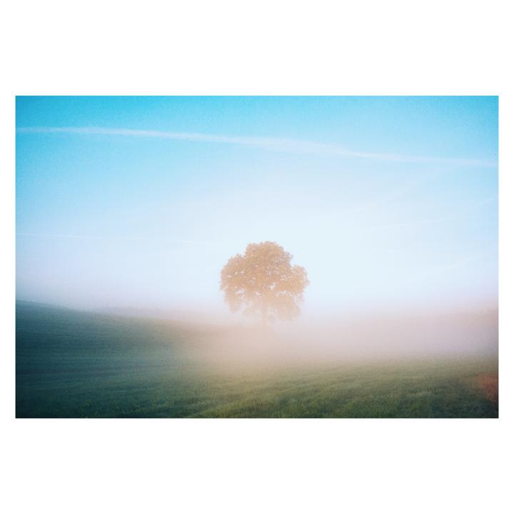 Blue, Pink and Yellow | Leica M6 + Elmarit 28 | Portra 400