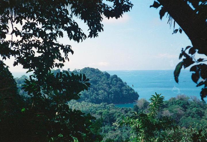 Manuel Antonio National Park Costa Rica | Canon AE-1 | CineStill 800T