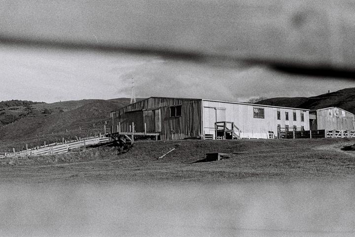 A large wooden woolshed stands on a grassy hill under a cloudy sky.