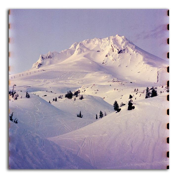 Sprocket Holes [Reflx Lab 250D/Kodak Vision3 250D | Hasselblad 500CM | Various Lenses]