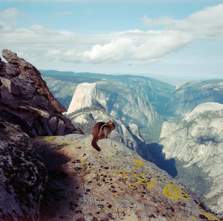 Enjoying the view | Mamiya 6 | 75mm f3.5 | Portra 400