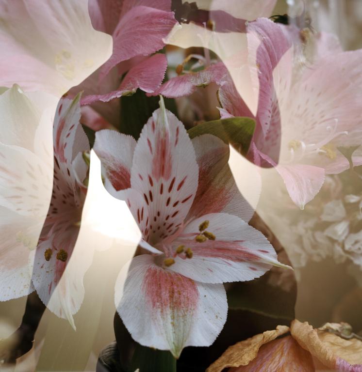 image 1898 by digbybare