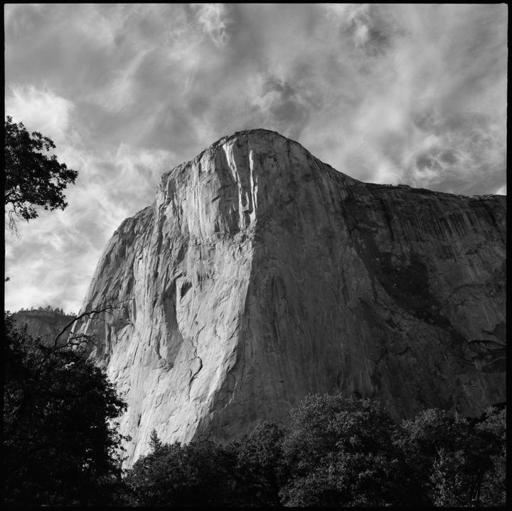 El Capitan from the meadow [mamiya 6, 50mm f4, tmax 100]