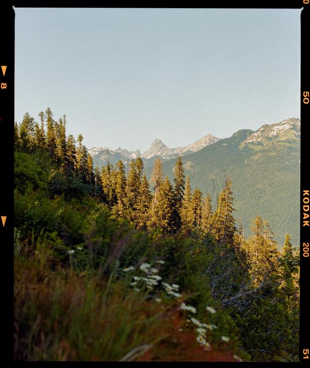 mamiya rz67 pro/ 110 f2.8 / kodak gold 200