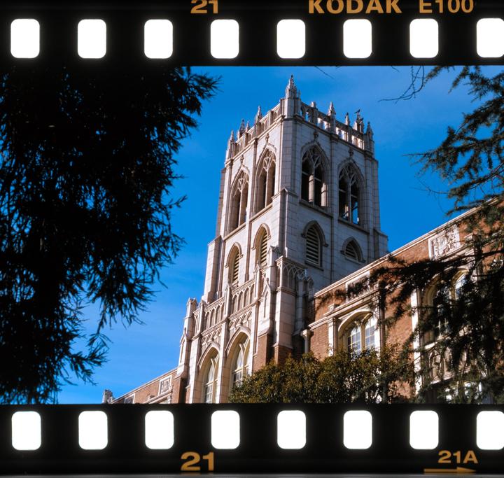 Nikon FM2, 50mm, ektachrome