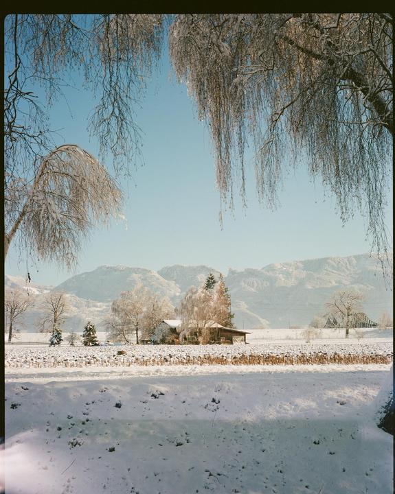 Plaubel Makina 67 - Portra 400