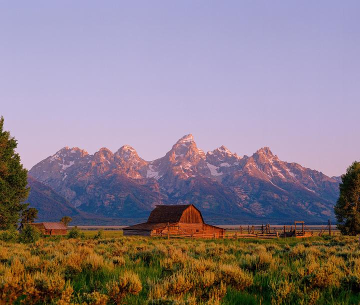Teton Alpineglow (Pentax67ii, 105mm 2.4, Gold 200)