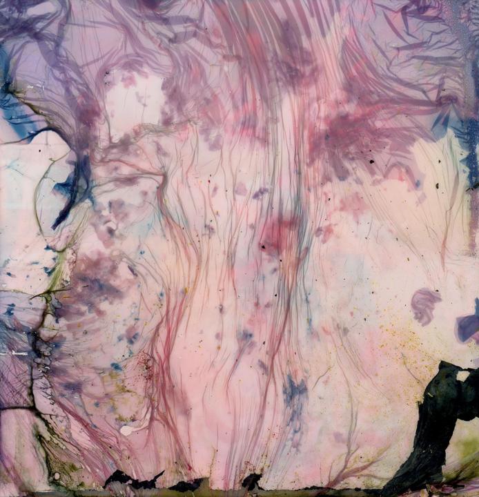 What feelings/thoughts, if any, do images such as this evoke? (Polaroid decay process)
