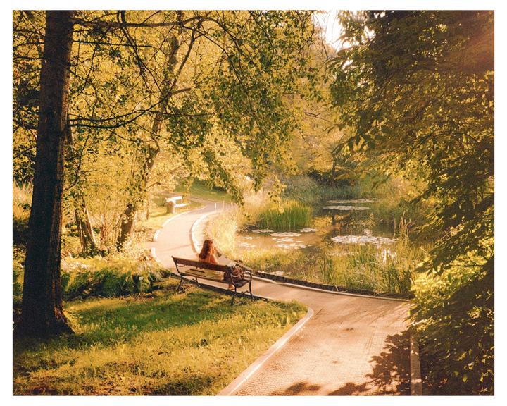 Welcoming Autumn with some Kodak Gold - Nikon FE2