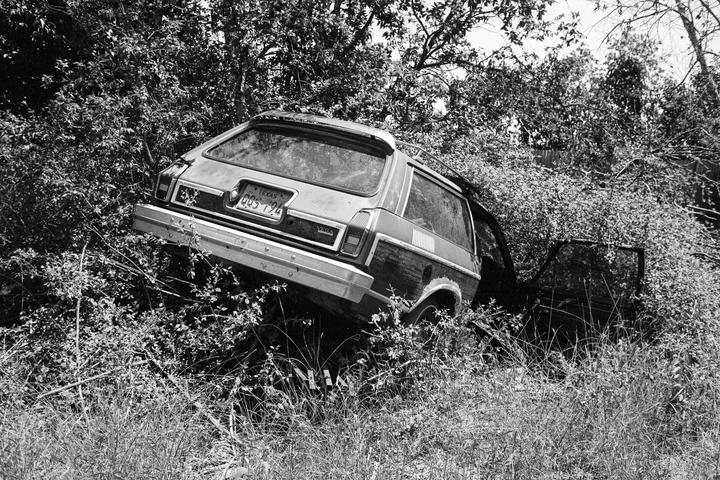A black and white photograph shows the rear of an abandoned station wagon overgrown with vegetation.