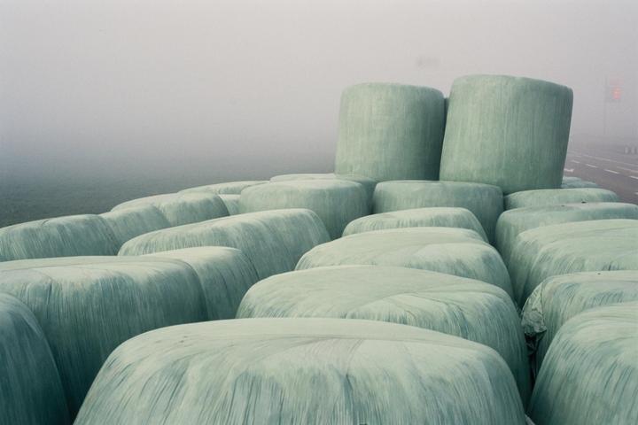 Foggy Morning (Canon EOS 5 | 50mm f/1.8 | Kodak Ektachrome E100S)
