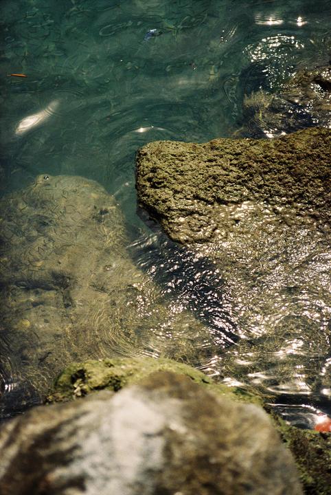 Sunlight reflects on the surface of clear water with rocks visible below.