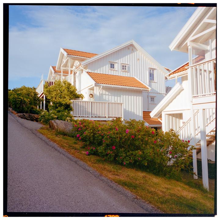 Mamiya 6 MF | CS 400D