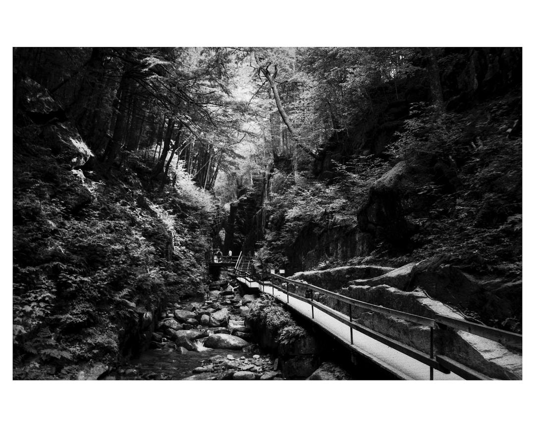 image 35954 by Embarrassed-Fix8978