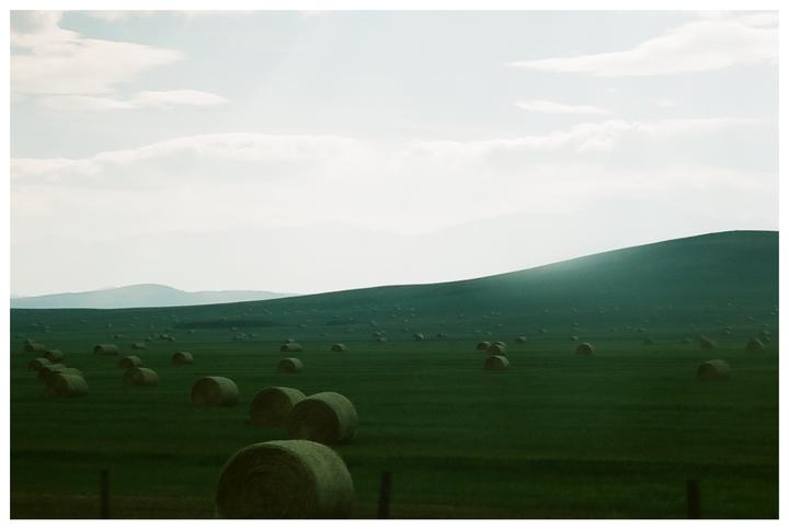 Recents from the Road | Nikon FM2 | Portra 400