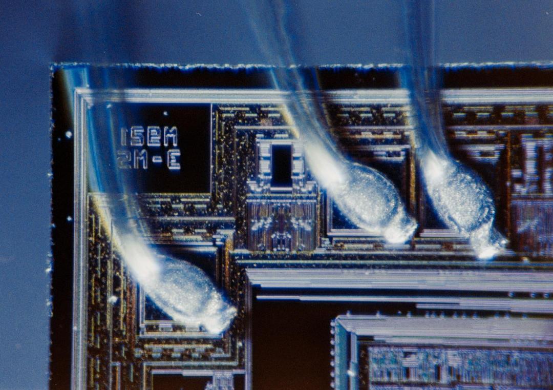 Some Micro Shots [Canon EOS 7s, Ektar 100, various Nikon microscope objective 4x, 10x, 40x]