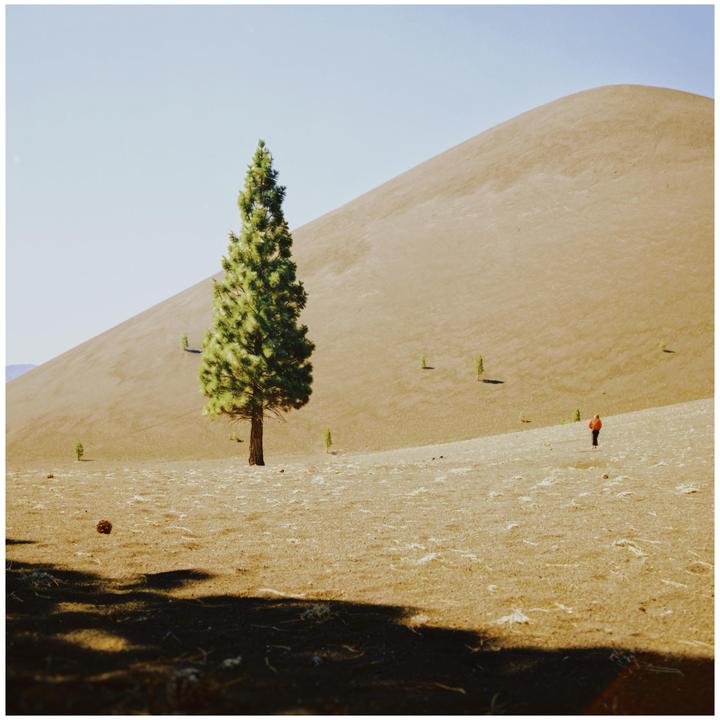 Hasselblad 500CM | 50mm 1.4 | Portra 800