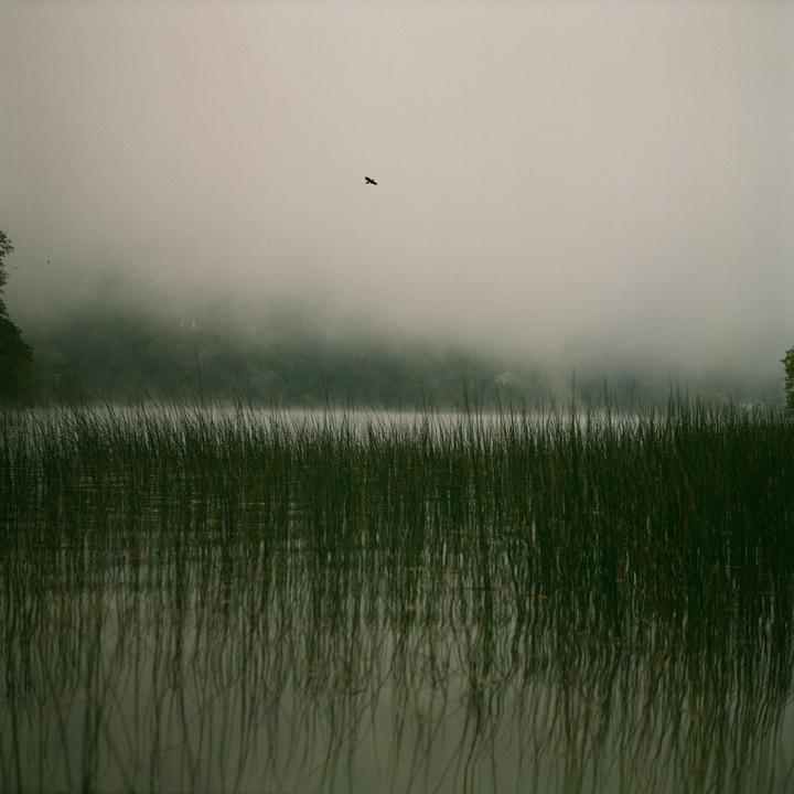 Plivsko jezero | October, 2023 [Yashica 635, Kodak Plus 200]