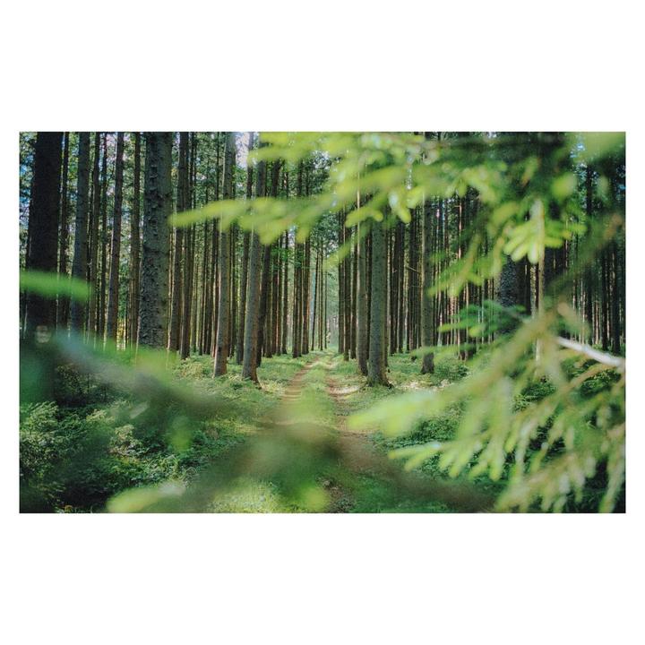 Perspectives | Leica MP + Elmarit 28 | Portra 400