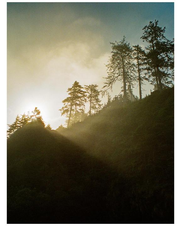 Oregon & Washington trip [Nikon FM2n, Olympus Stylus 35 f3.5, various lenses and films]