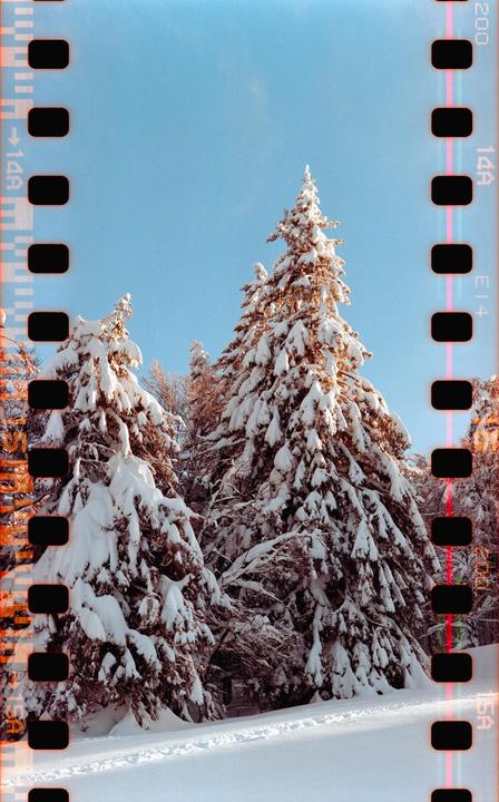Sunset in the Vosges, France [Zenza Bronica SQ-A | 80mm f/2.8 | Fuji C200] (self-scanned)