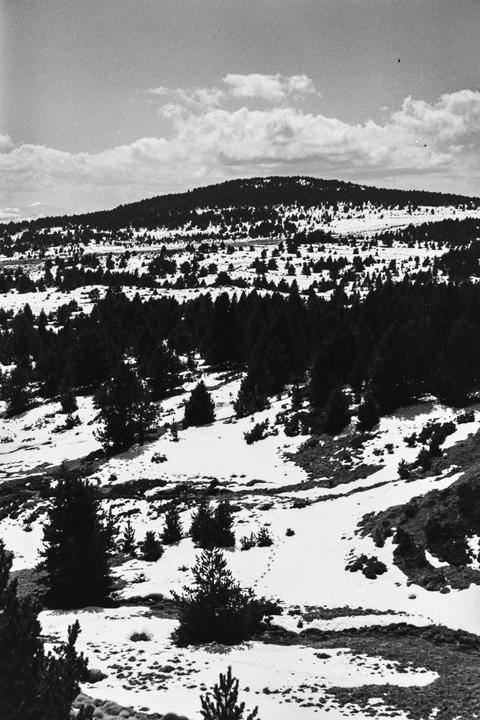 A black and white landscape shows a snow-covered mountain with scattered trees under a cloudy sky.