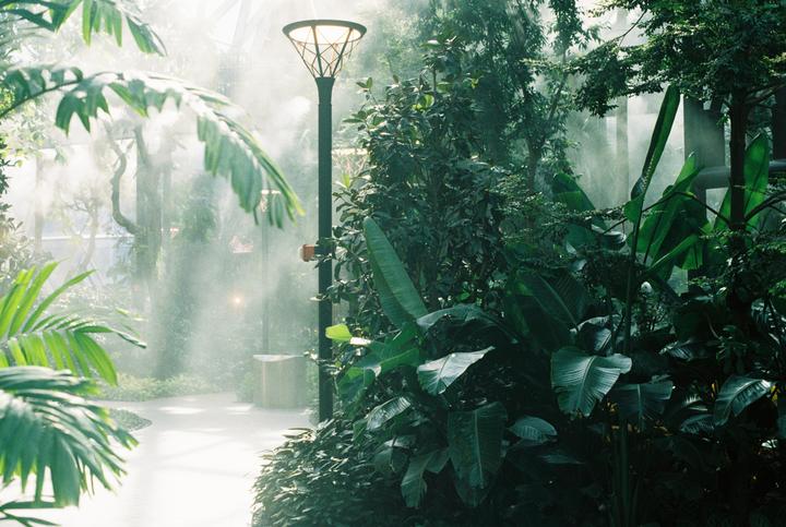 Airport stopover (Minolta x-370s, Fujifilm c200)